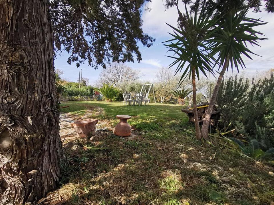 Eredita Bed & Breakfast Villa Flora المظهر الخارجي الصورة
